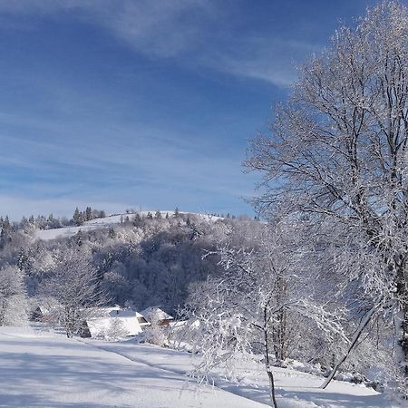 Верховинський Котедж Bukovets Exterior foto