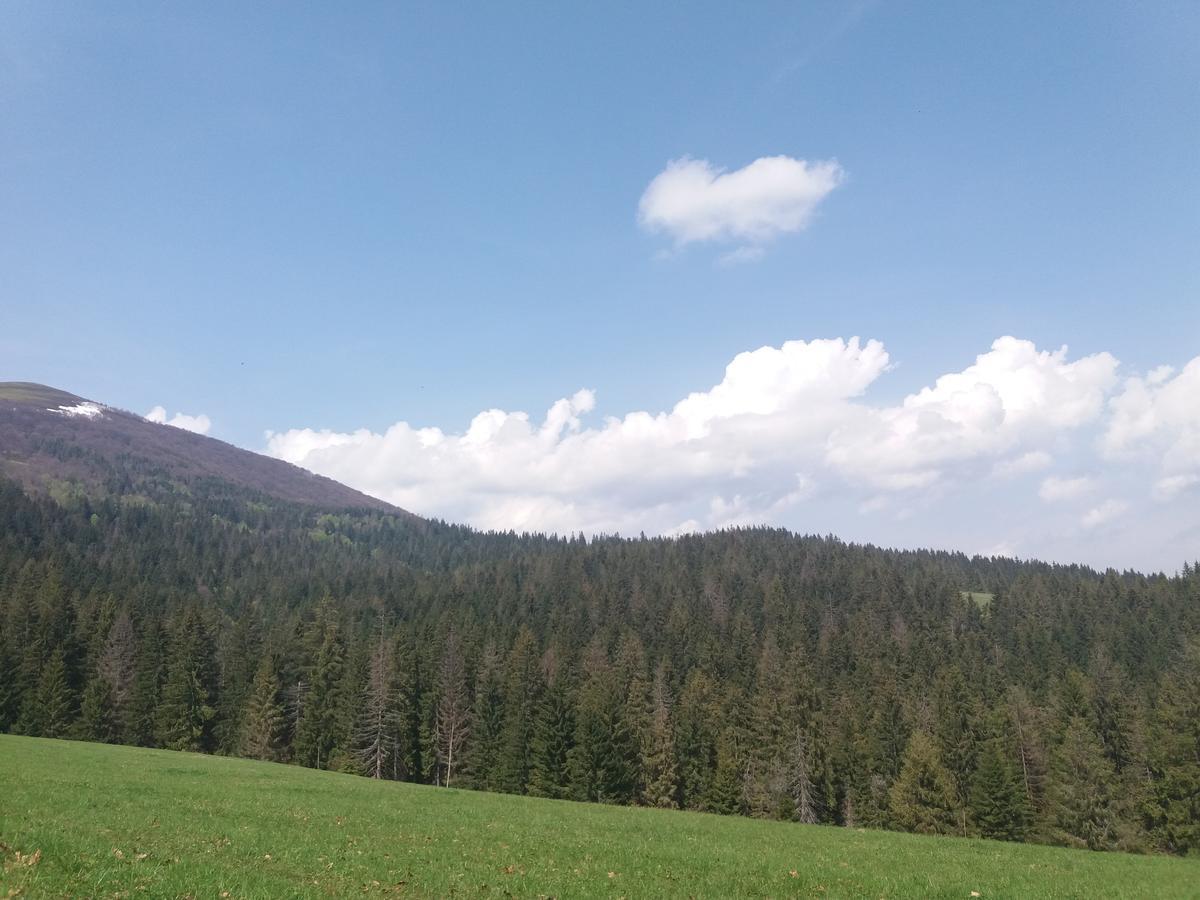 Верховинський Котедж Bukovets Exterior foto
