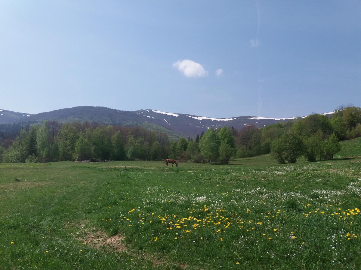 Верховинський Котедж Bukovets Exterior foto